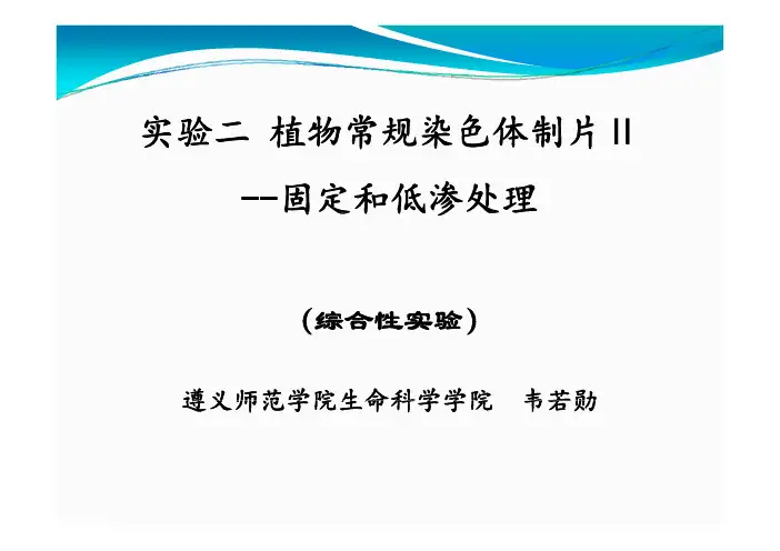 植物常规染色体制片-固定和低渗处理