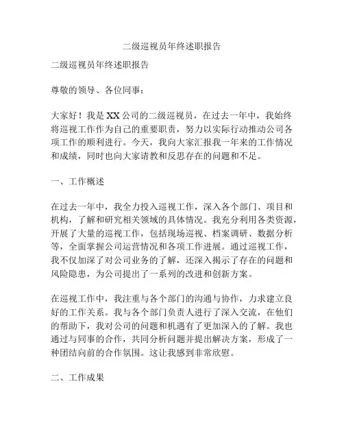 二级巡视员年终述职报告