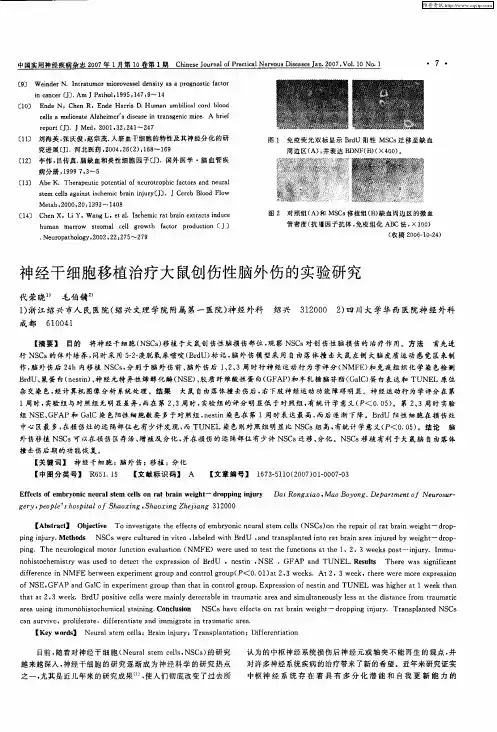 神经干细胞移植治疗大鼠创伤性脑外伤的实验研究