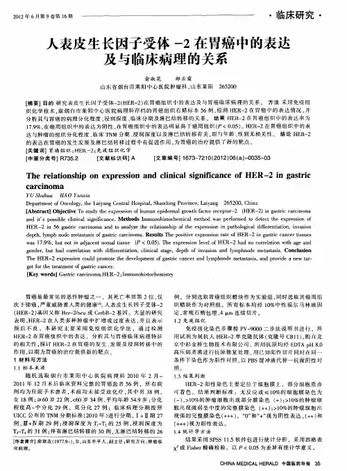 人表皮生长因子受体-2在胃癌中的表达及与临床病理的关系