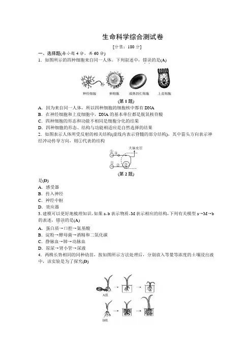 2019年浙教版中考——生命科学综合测试卷