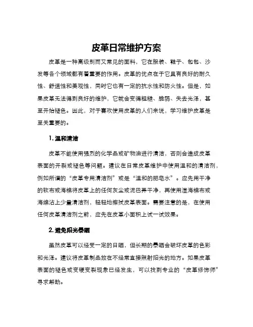 皮革日常维护方案