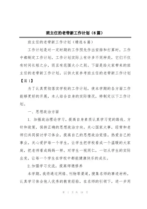 班主任的老带新工作计划(6篇)