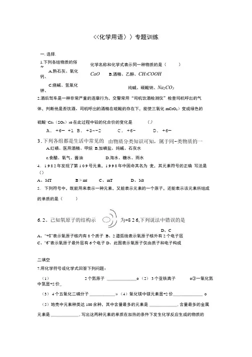 中考化学用语专题训练.doc