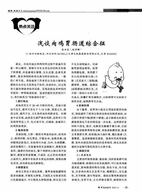 浅谈肉鸡胃肠道综合征