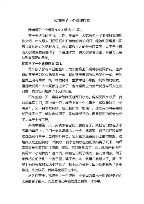 我懂得了一个道理作文