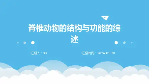 脊椎动物的结构与功能的综述
