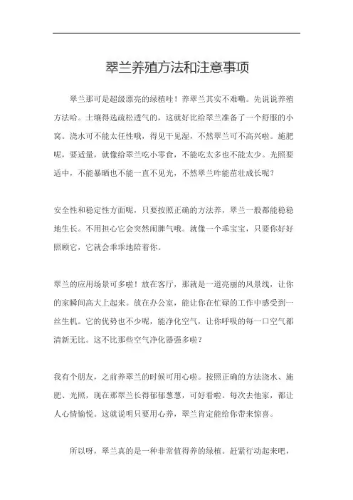 翠兰养殖方法和注意事项