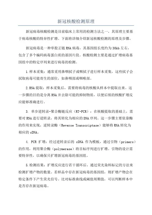新冠核酸检测原理