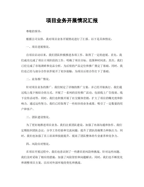 项目业务开展情况汇报