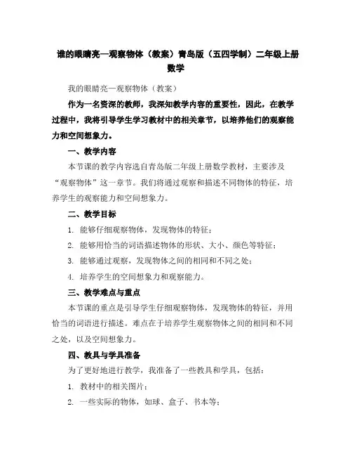 谁的眼睛亮—观察物体(教案)青岛版(五四学制)二年级上册数学
