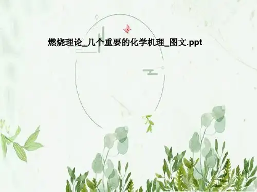 燃烧理论_几个重要的化学机理_图文