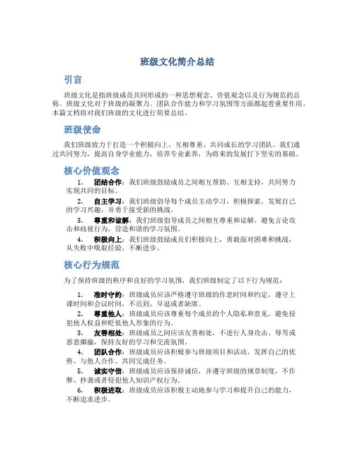 班级文化简介总结