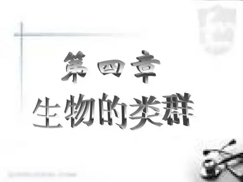 植物的基本类群