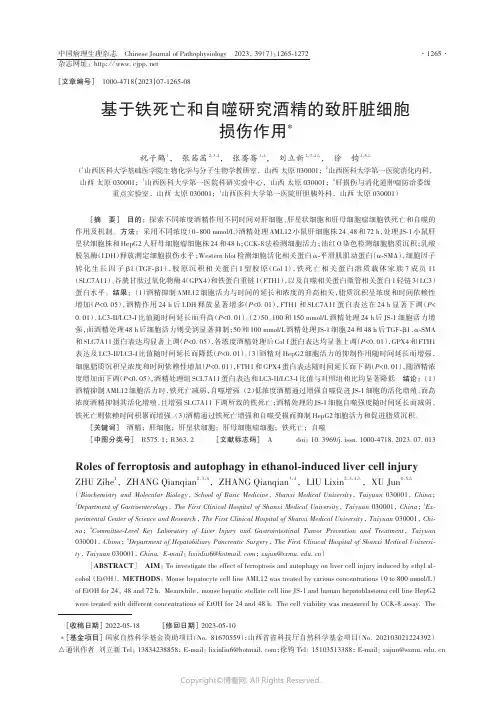基于铁死亡和自噬研究酒精的致肝脏细胞损伤作用