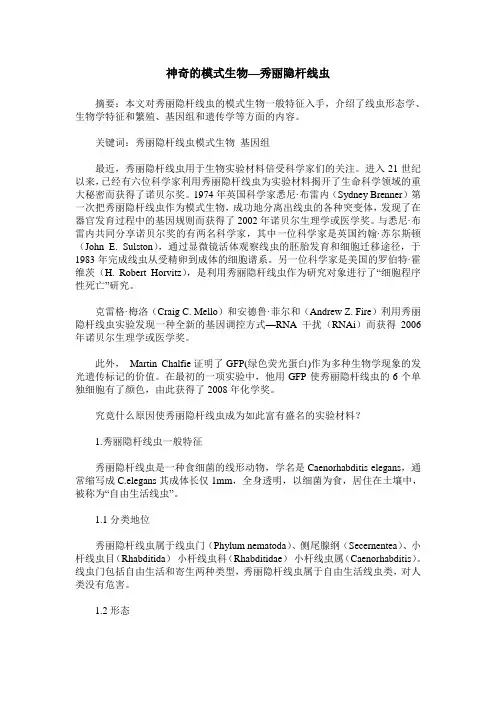 神奇的模式生物—秀丽隐杆线虫