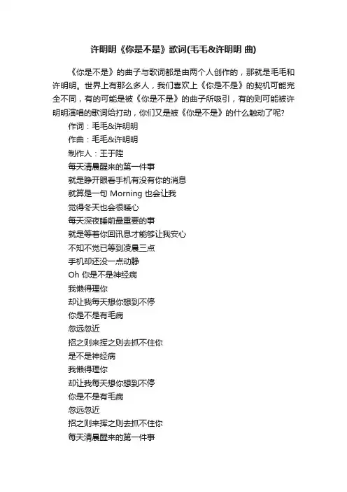 许明明《你是不是》歌词（毛毛许明明曲）