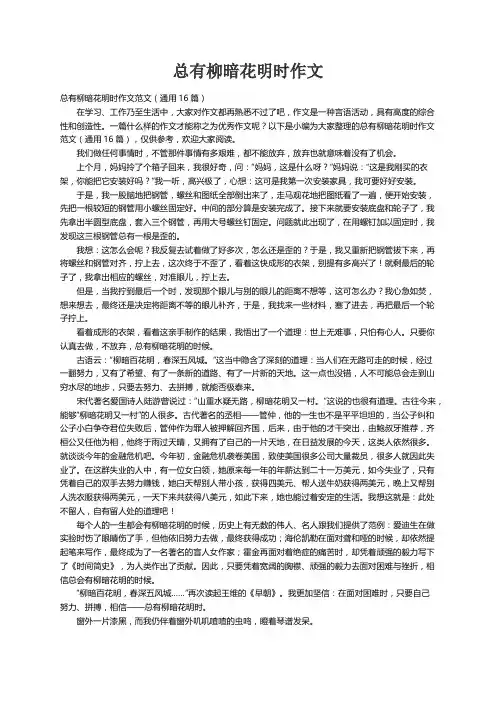 总有柳暗花明时作文范文（通用16篇）