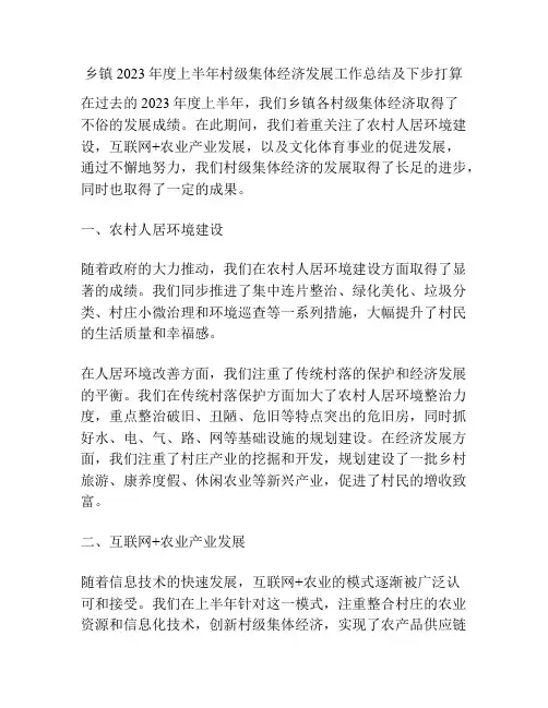 乡镇2023年度上半年村级集体经济发展工作总结及下步打算