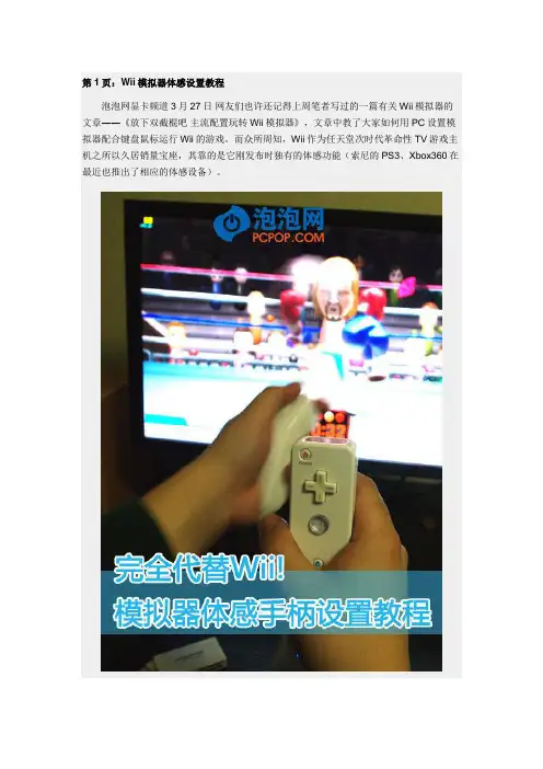 wii体感模拟PC设置
