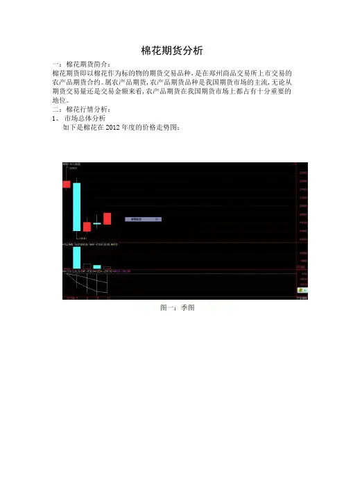 棉花期货分析()