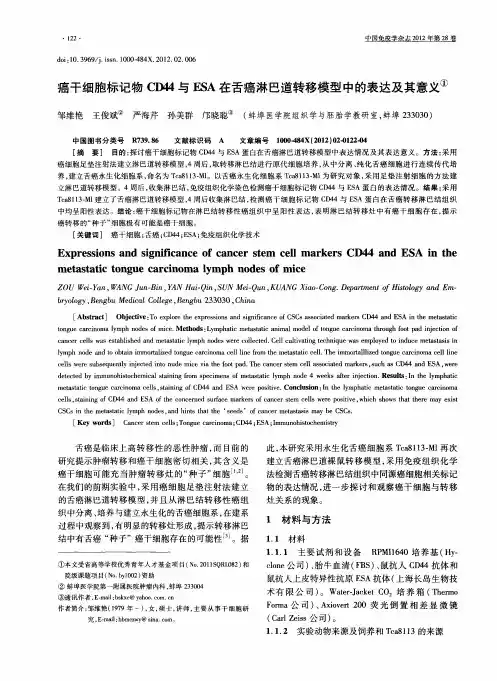 癌干细胞标记物CD44与ESA在舌癌淋巴道转移模型中的表达及其意义