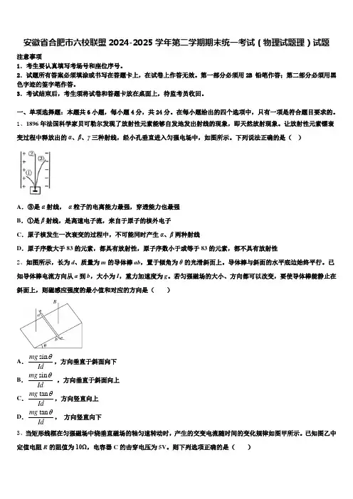 安徽省合肥市六校联盟2024-2025学年第二学期期末统一考试(物理试题理)试题含解析