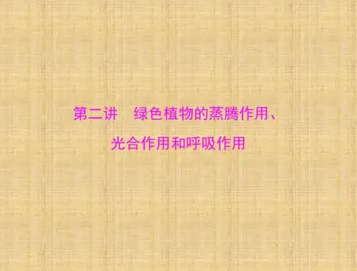 中考生物 考点梳理 第一轮 第三章  第二讲 绿色植物的蒸腾作用、光合作用和呼吸作用名师优质课件