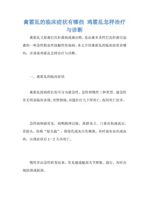 禽霍乱的临床症状有哪些 鸡霍乱怎样治疗与诊断