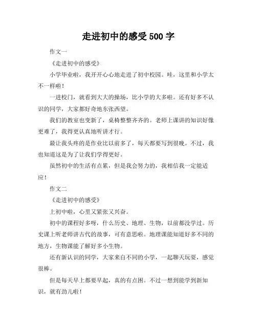 走进初中的感受500字