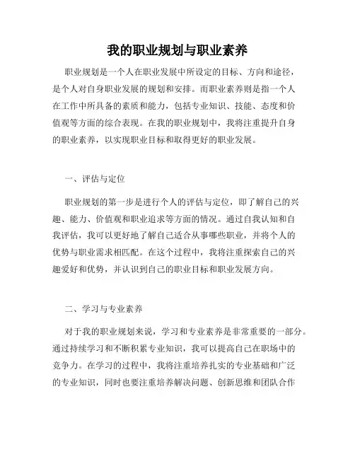 我的职业规划与职业素养