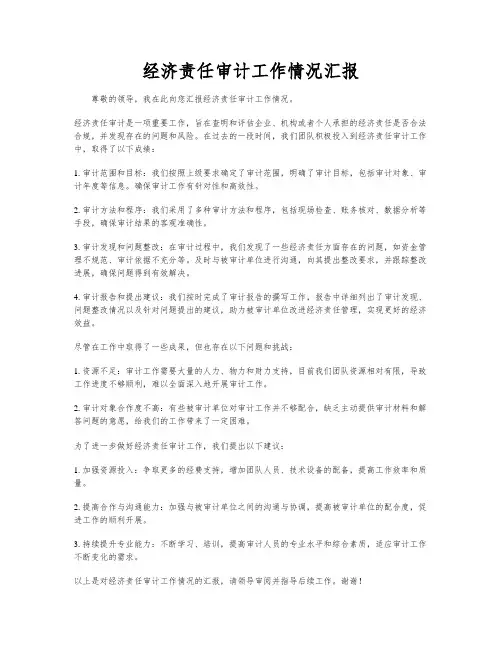 经济责任审计工作情况汇报