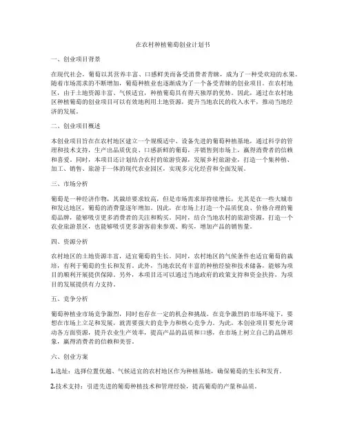 在农村种植葡萄创业计划书