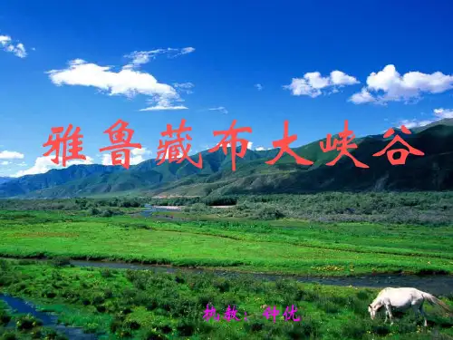 《雅鲁藏布江瀑布》PPT课件