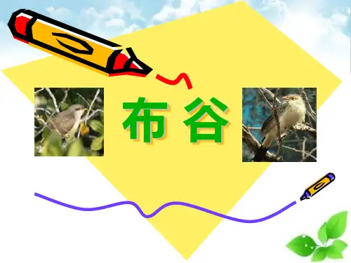 《布谷》PPT课件(自制)