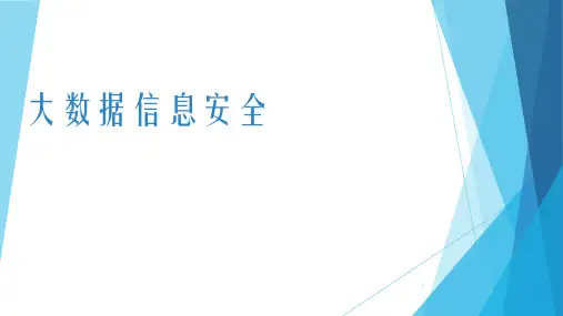 大数据安全问题ppt课件