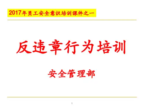 2017年公司级反违章行为培训课件