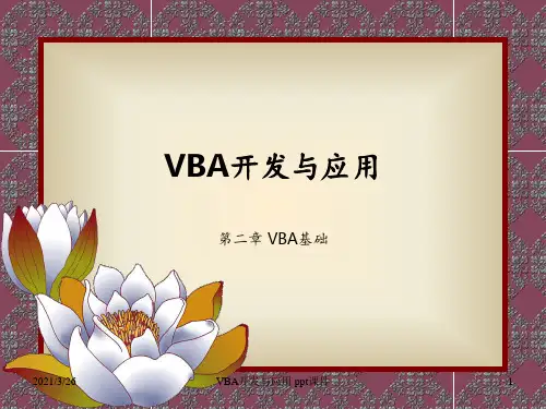 VBA开发与应用 ppt课件