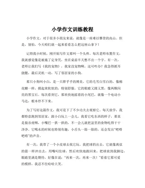 小学作文训练教程