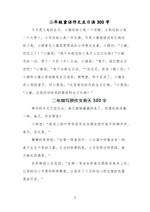 二年级童话作文生日汤300字