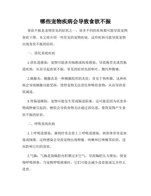 哪些宠物疾病会导致食欲不振