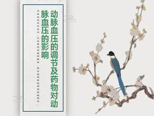 家兔动脉血压的调节