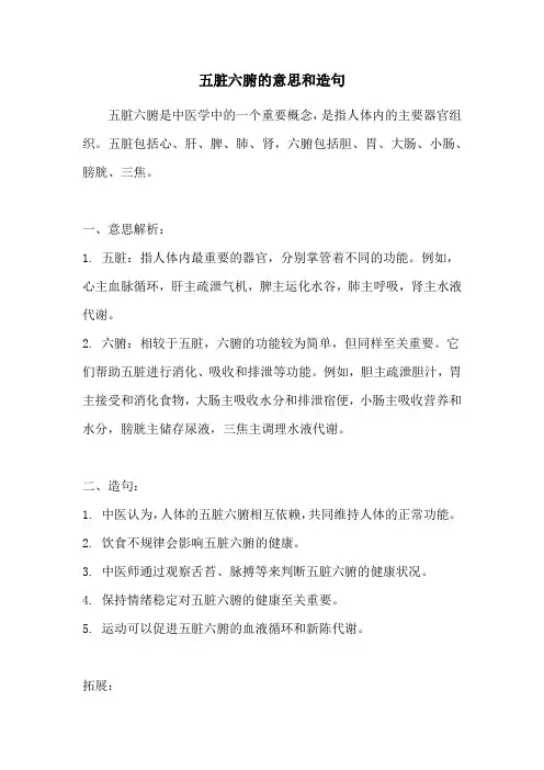 五脏六腑的意思和造句