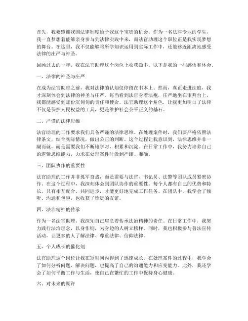 大学生当法官助理感言