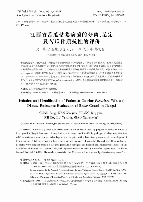 江西省苦瓜枯萎病菌的分离、鉴定及苦瓜种质抗性的评价