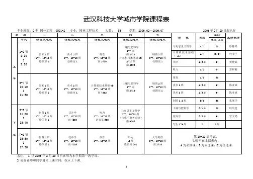 武汉科技大学城市学院课程表解读
