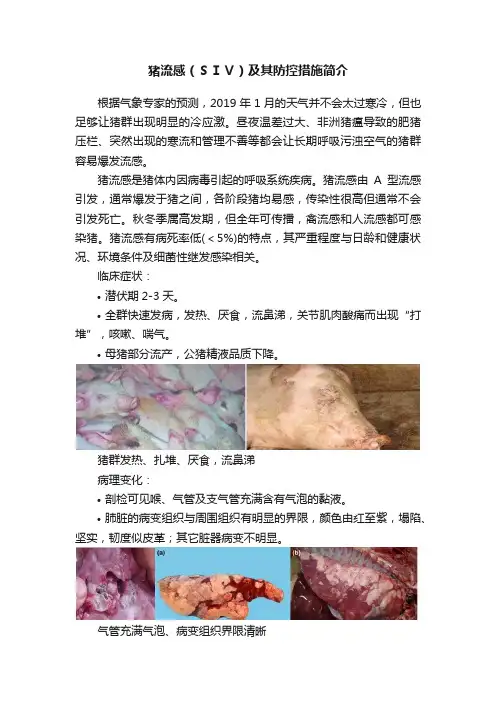 猪流感（ＳＩＶ）及其防控措施简介
