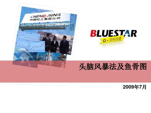 头脑风暴法及鱼骨图