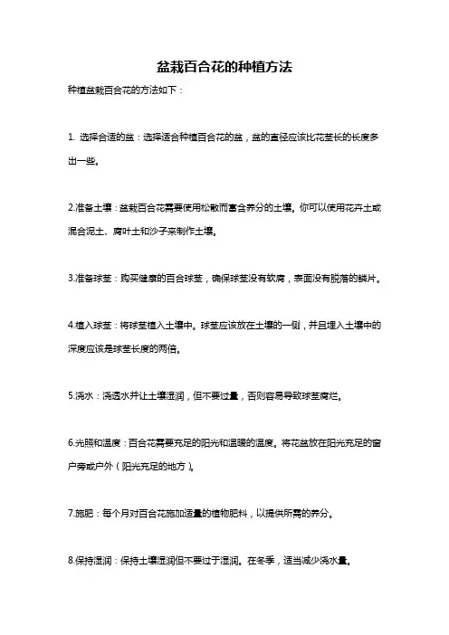 盆栽百合花的种植方法