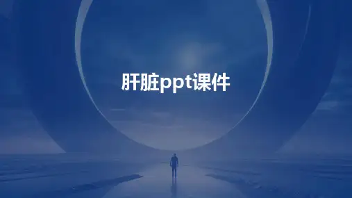 肝脏ppt课件